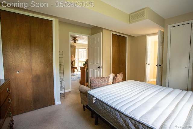 140 Indian Knolls St, Oxford, MI 48371 - bedroom with two closets, carpet, and baseboards