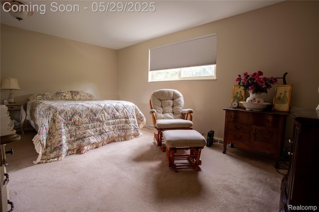 140 Indian Knolls St, Oxford, MI 48371 - view of carpeted bedroom