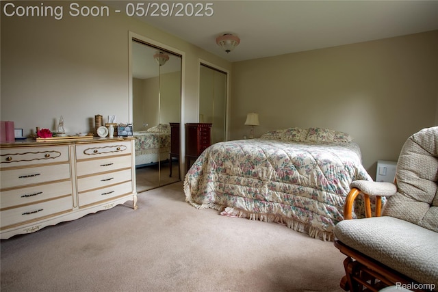 140 Indian Knolls St, Oxford, MI 48371 - carpeted bedroom with two closets