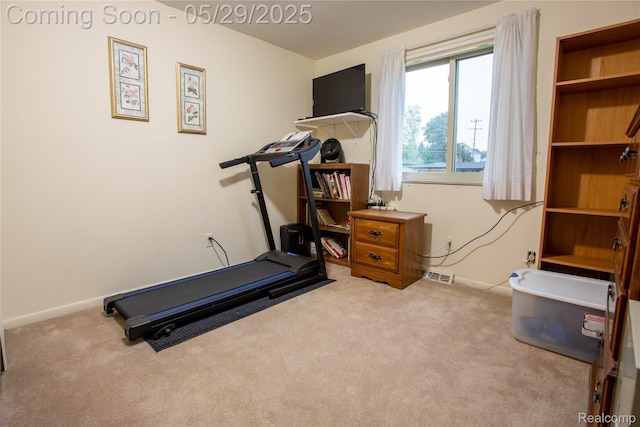 140 Indian Knolls St, Oxford, MI 48371 - workout room with carpet flooring and baseboards