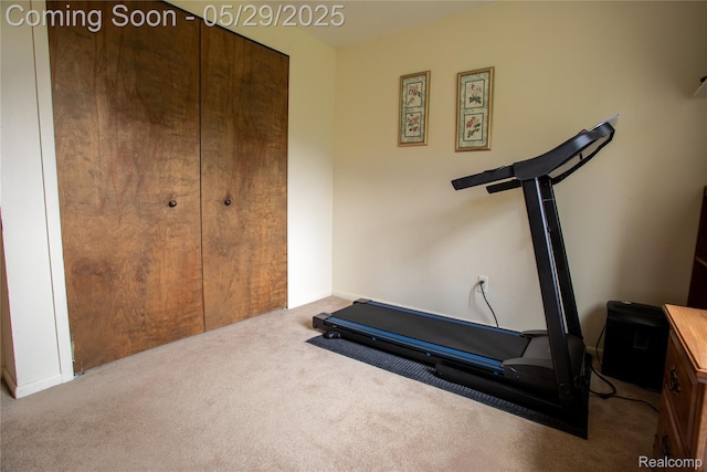 140 Indian Knolls St, Oxford, MI 48371 - workout area with carpet floors