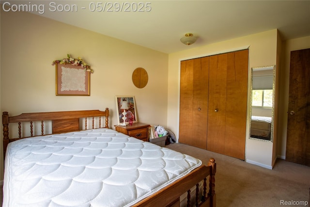 140 Indian Knolls St, Oxford, MI 48371 - bedroom featuring carpet floors, a closet, and baseboards