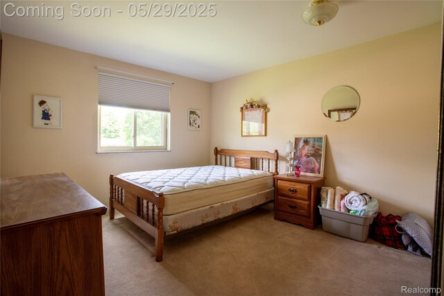 140 Indian Knolls St, Oxford, MI 48371 - view of carpeted bedroom