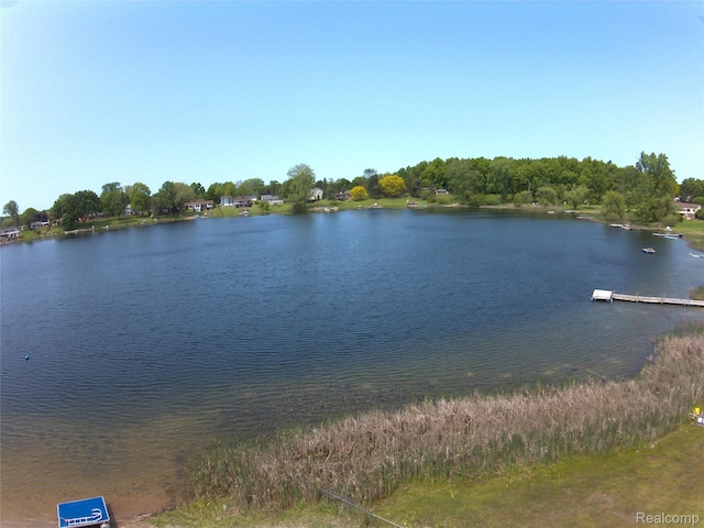 140 Indian Knolls St, Oxford, MI 48371 - water view