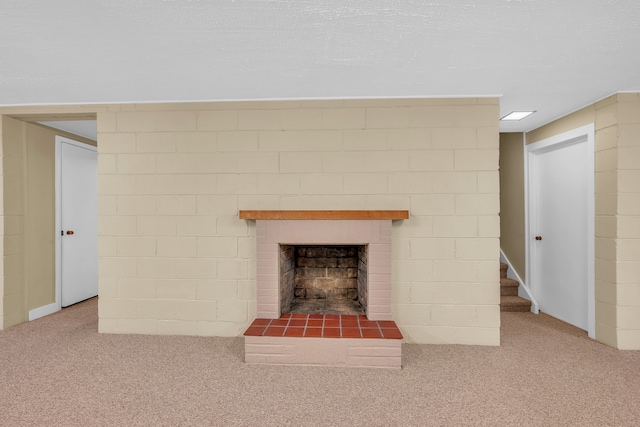 details featuring carpet floors and a fireplace