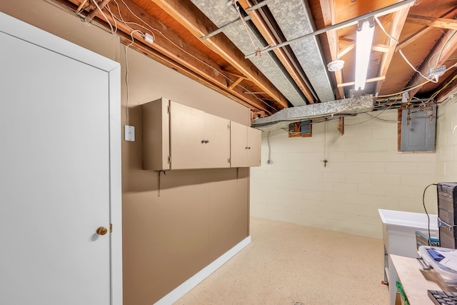 unfinished below grade area featuring concrete block wall and electric panel