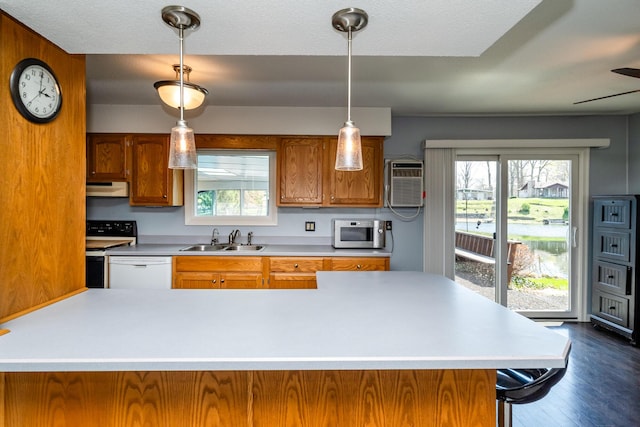 kitchen featuring stainless steel microwave, a sink, under cabinet range hood, white dishwasher, and range with electric stovetop