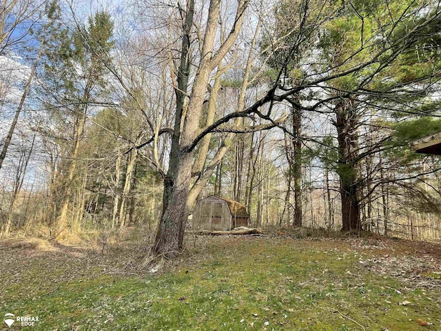 view of yard with an outbuilding, a shed, and a view of trees