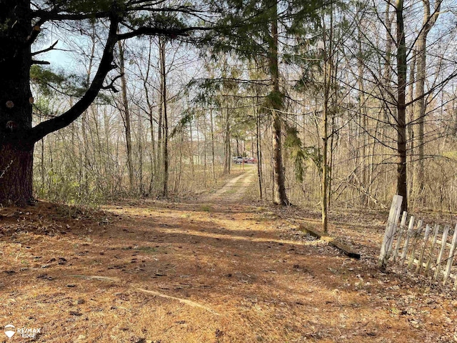 view of nature with a view of trees