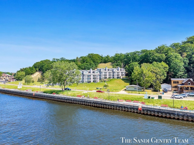 810 S Harbor Dr Unit 21, Grand Haven, MI 49417 - water view featuring a tree filled landscape