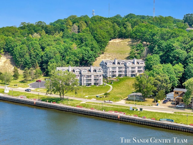 810 S Harbor Dr Unit 21, Grand Haven, MI 49417 - drone / aerial view of a nearby body of water