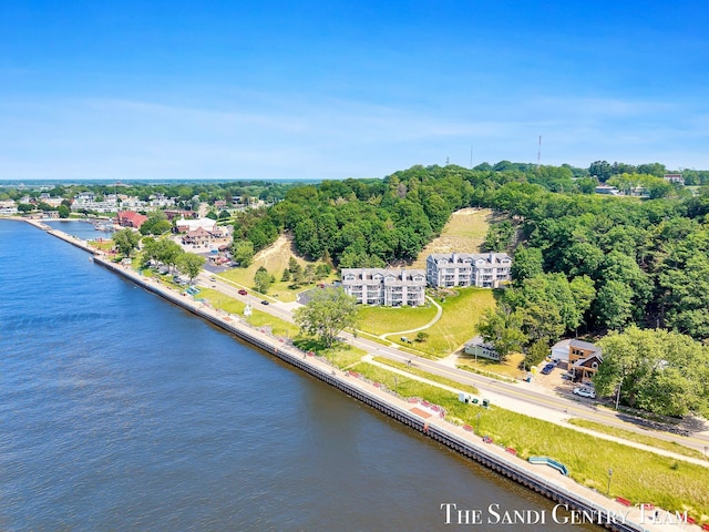 810 S Harbor Dr Unit 21, Grand Haven, MI 49417 - aerial view of a nearby body of water