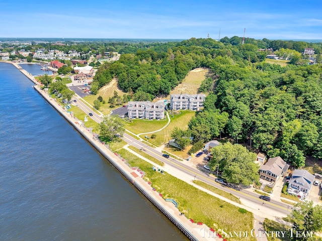 810 S Harbor Dr Unit 21, Grand Haven, MI 49417 - aerial overview of property's location featuring a nearby body of water