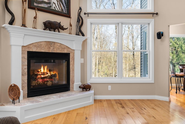 room details with a fireplace, wood finished floors, and baseboards
