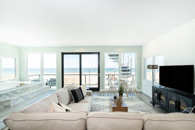 living room featuring baseboards and wood finished floors