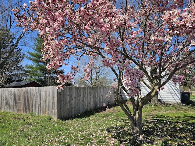 9 W Michigan St, Three Oaks, MI 49128 - view of yard featuring fence
