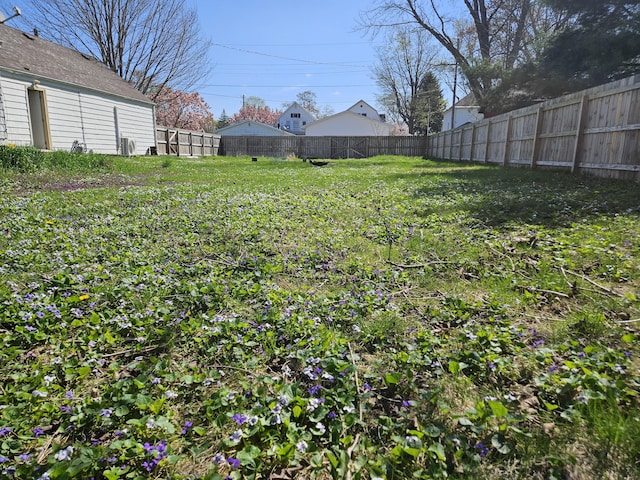 9 W Michigan St, Three Oaks, MI 49128 - view of yard with fence