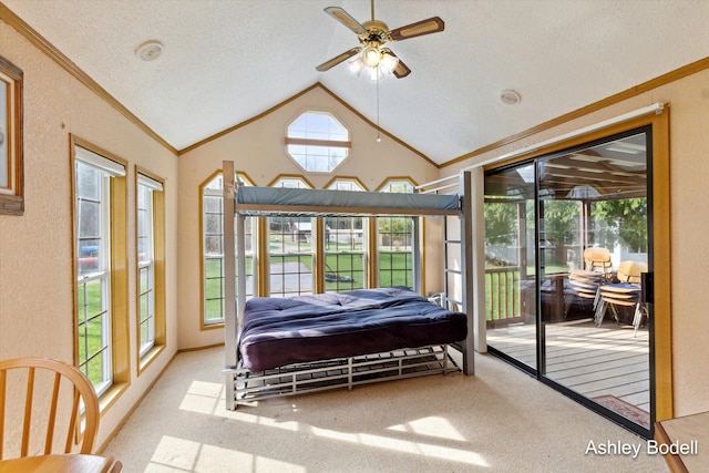 carpeted bedroom featuring lofted ceiling, a textured ceiling, crown molding, and access to outside