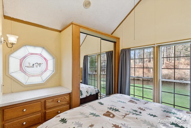 bedroom featuring a closet, crown molding, and multiple windows