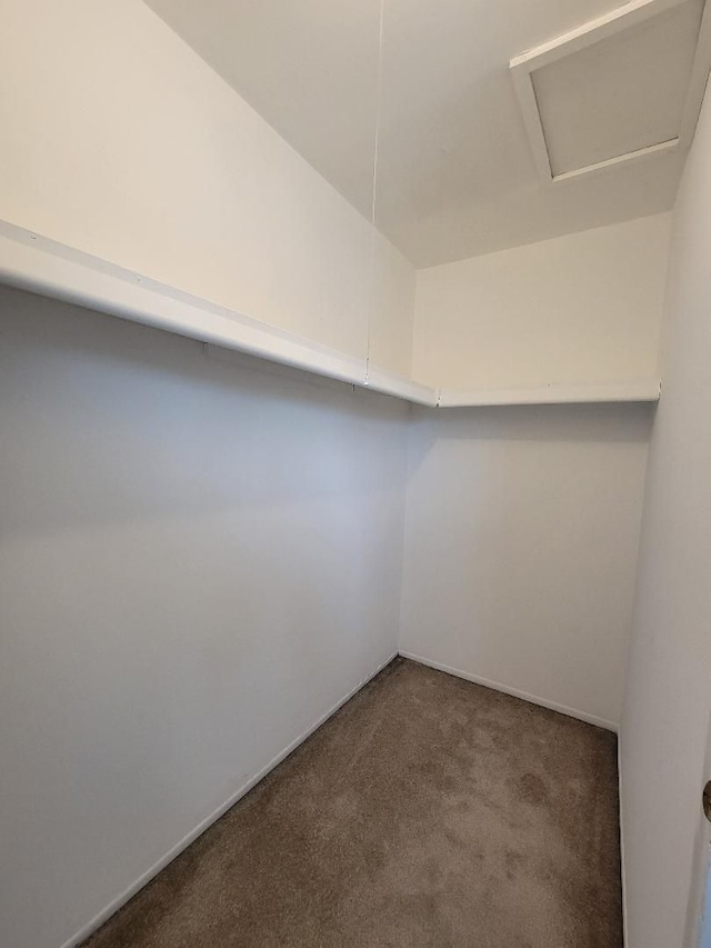 spacious closet with carpet