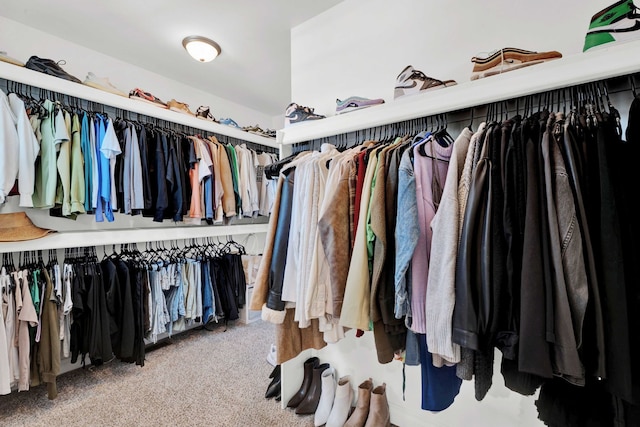 spacious closet featuring carpet flooring