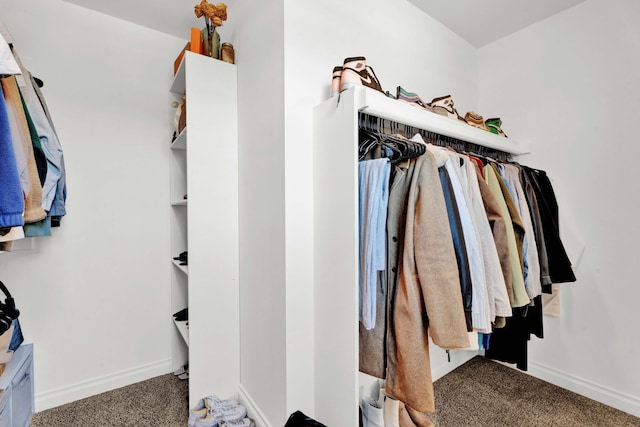 spacious closet featuring carpet flooring