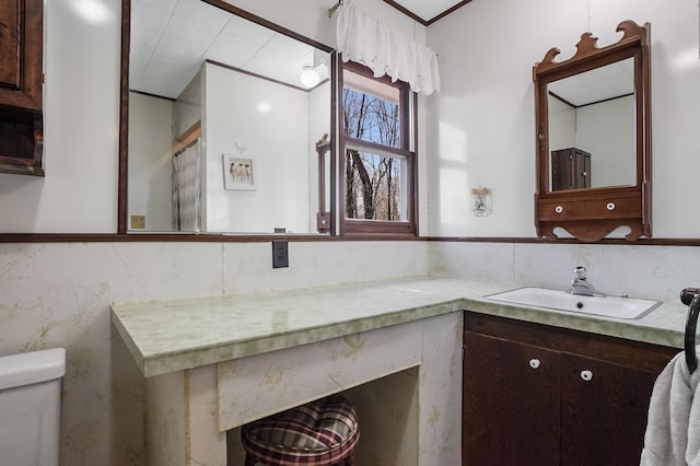 bathroom with toilet and vanity