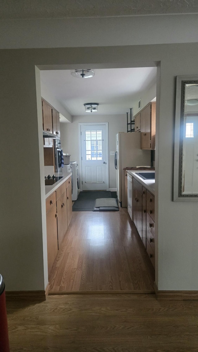 kitchen featuring black electric cooktop, wood finished floors, and a healthy amount of sunlight