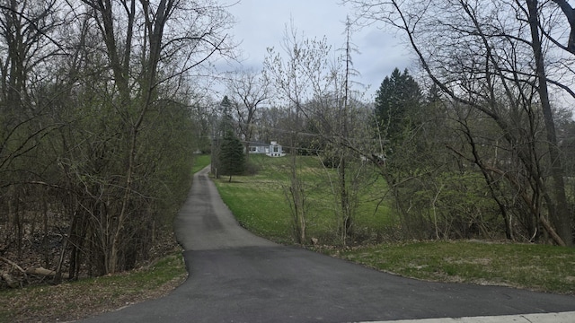 view of road featuring a wooded view