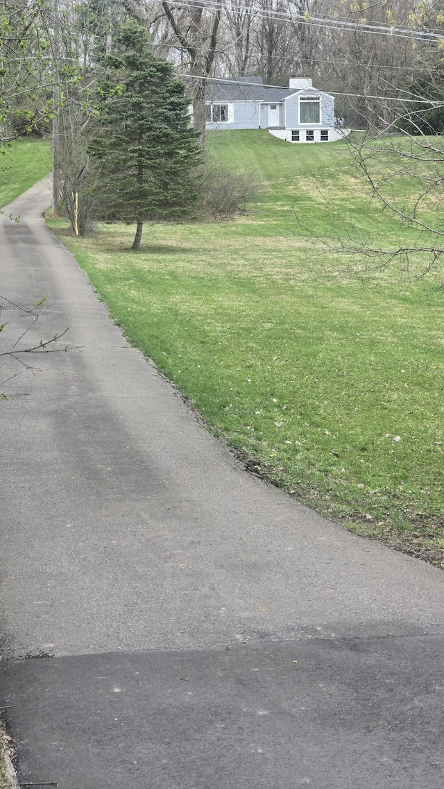 view of road featuring aphalt driveway
