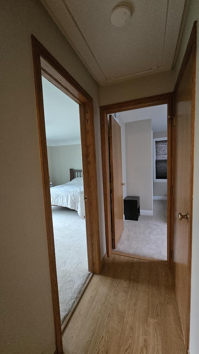 corridor featuring carpet, wood finished floors, and baseboards