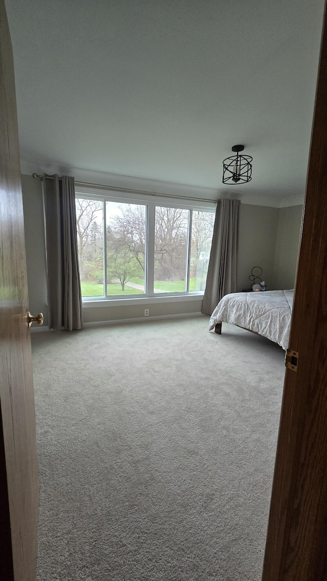 carpeted bedroom featuring crown molding and multiple windows