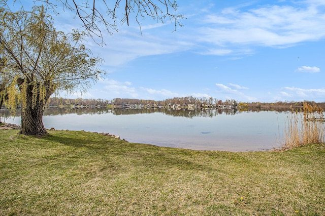 property view of water
