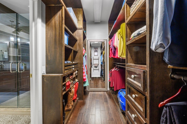 1249 Lasalle Rd, Canton, MI 48187 - walk in closet with dark wood finished floors