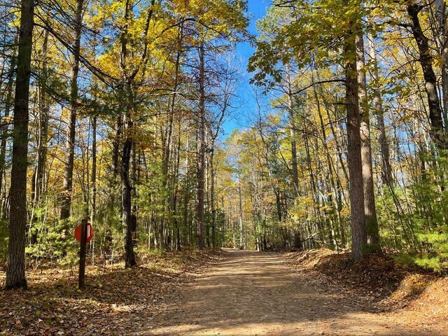 UNIT20 NW Dockery Rd NW, Williamsburg, MI 49690