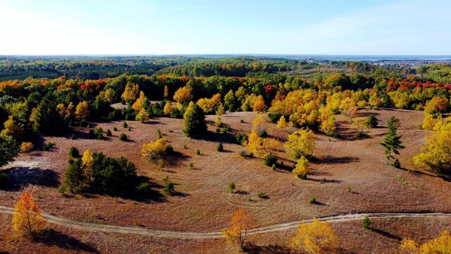 UNIT20 NW Dockery Rd NW, Williamsburg, MI 49690