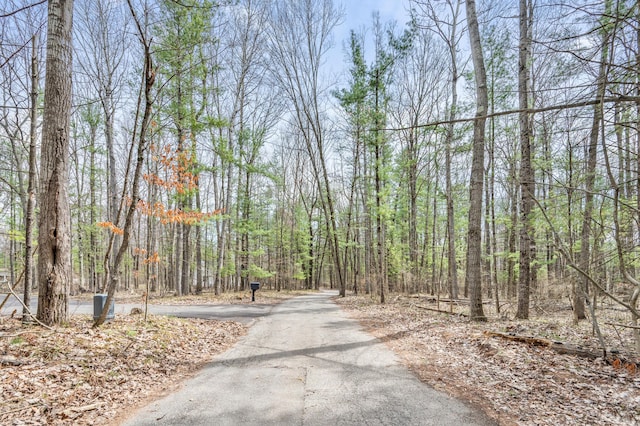 view of road featuring a wooded view
