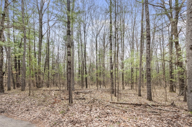 view of local wilderness featuring a wooded view