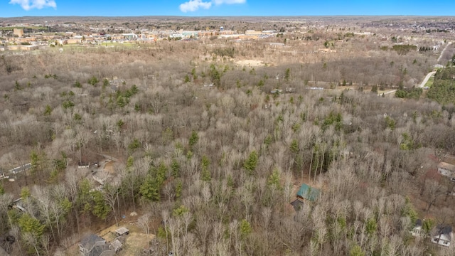 bird's eye view