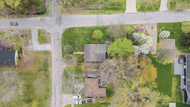 bird's eye view