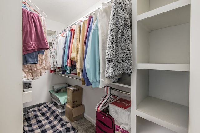 10207 Dodge Rd, Otisville, MI 48463 - spacious closet featuring carpet flooring
