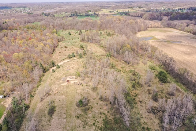 10207 Dodge Rd, Otisville, MI 48463 - aerial view