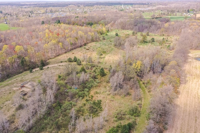 10207 Dodge Rd, Otisville, MI 48463 - birds eye view of property featuring a view of trees