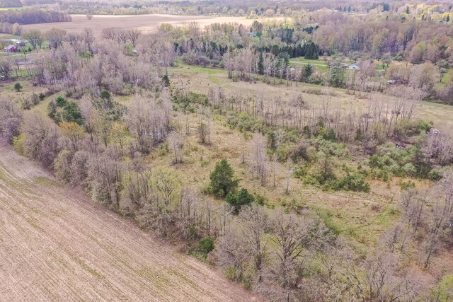 10207 Dodge Rd, Otisville, MI 48463 - drone / aerial view featuring a rural view