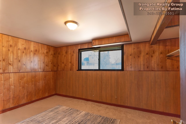 17906 Cider Mill St, Macomb, MI 48044 - unfurnished room featuring wood walls and carpet flooring