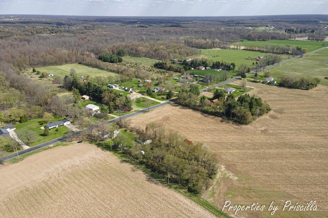 birds eye view of property featuring a rural view and a forest view