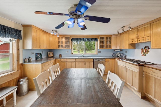 kitchen with glass insert cabinets, a sink, appliances with stainless steel finishes, track lighting, and a ceiling fan
