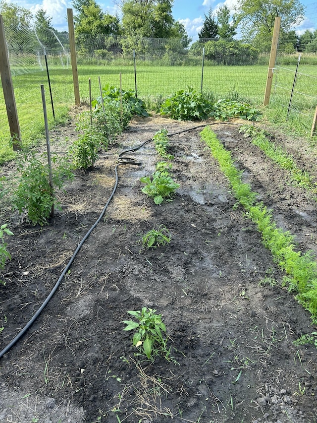 view of yard with fence and a garden