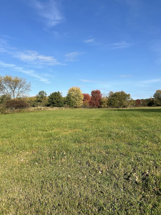 view of yard featuring a rural view