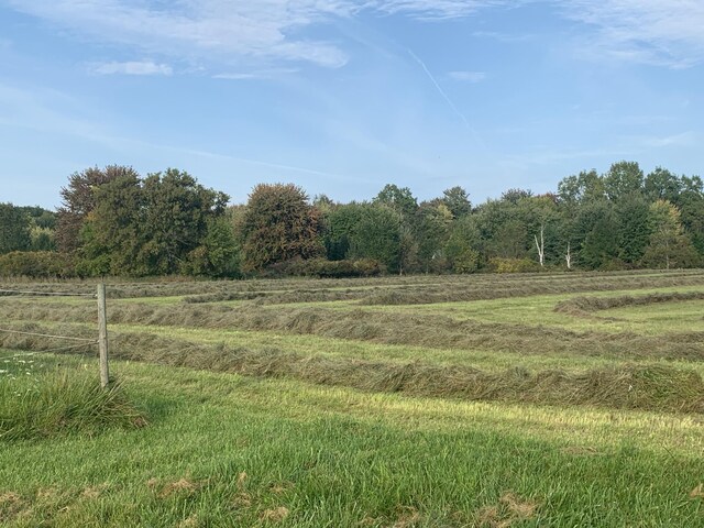 view of yard with fence and a rural view